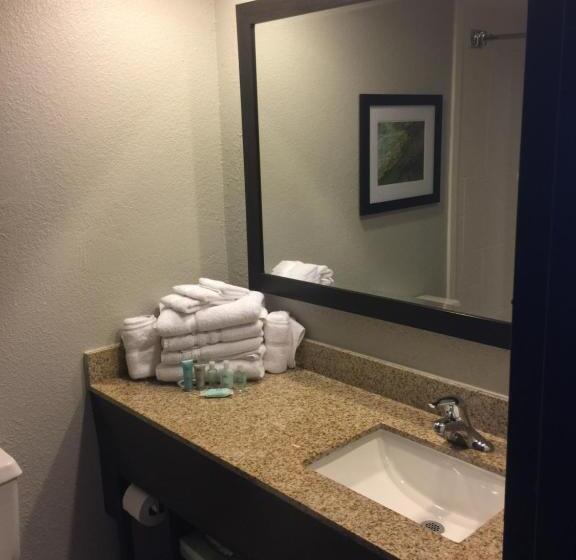 带大床的高级房间, Wyndham Garden Hotel   Jacksonville