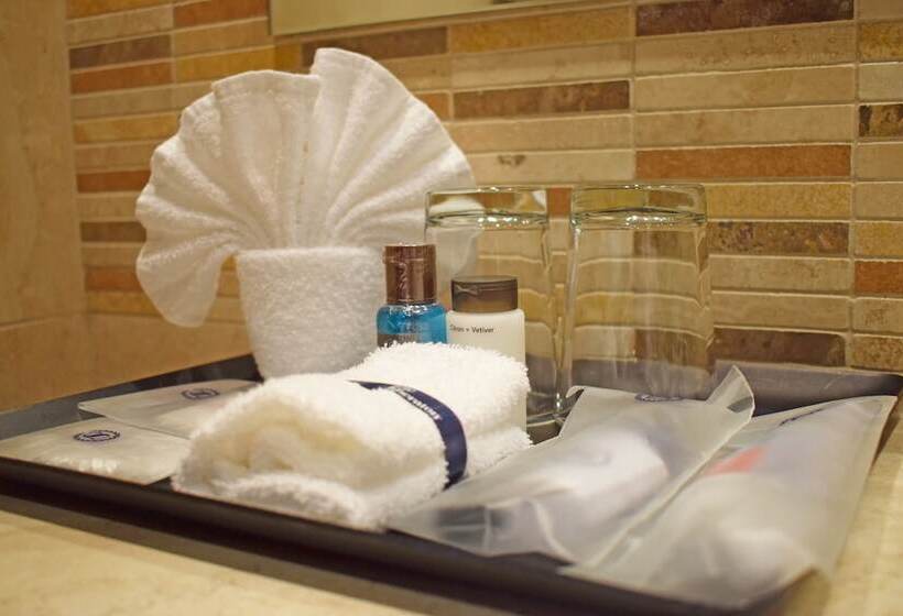클럽 룸, Sheraton Quito