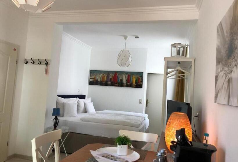 标准间带露台, Aparthotel Stibbe