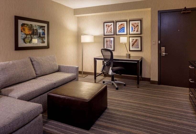 침실 1개 아파트, Doubletree Suites By Hilton Minneapolis Downtown