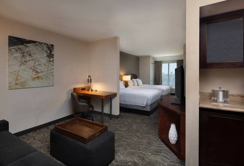 Люкс, Springhill Suites By Marriott Tampa Westshore