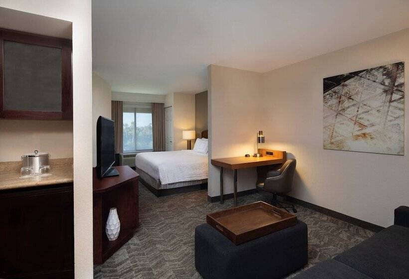 Люкс, Springhill Suites By Marriott Tampa Westshore
