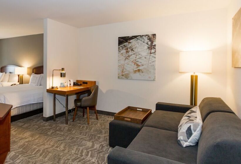 Люкс Адаптированный для Инвалидов, Springhill Suites By Marriott Tampa Westshore