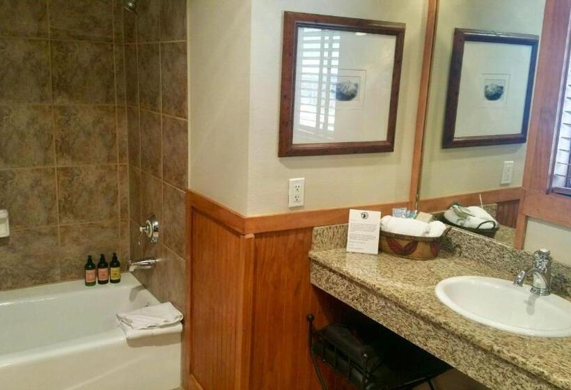 חדר סטנדרט עם מיטת קינג, The Hotel Telluride