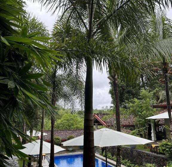 Номер Стандарт Вид на Бассейн, Terrace Garden Ayurveda Resort