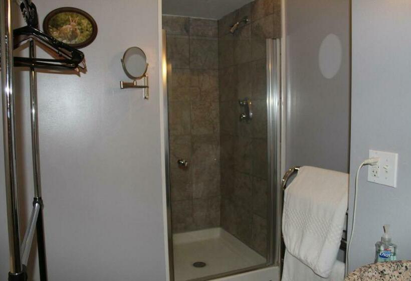 Номер Стандарт, Monroe Manor Inn