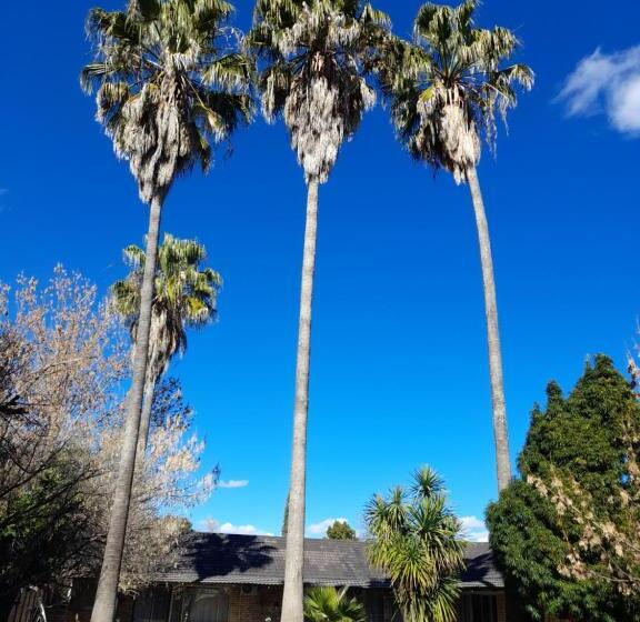 Номер Стандарт, Palms Lodge