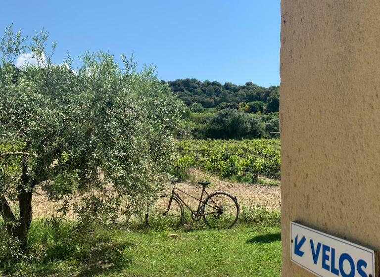 Люкс Вид на Сад, Domaine La Condamine Crillon Le Brave