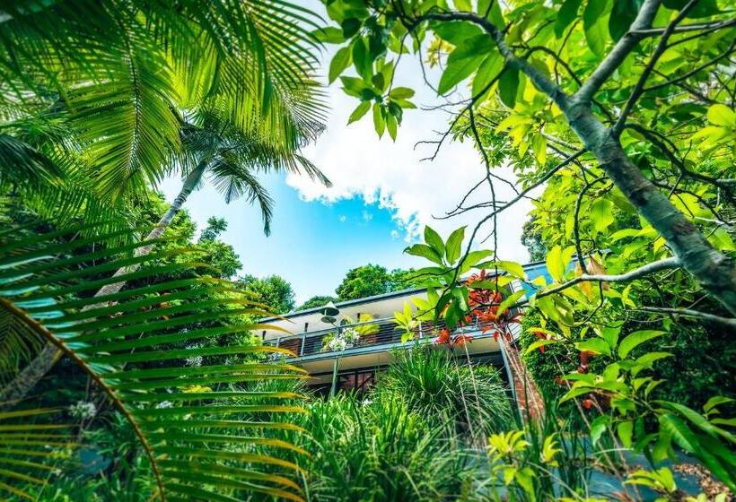 Апартаменты 1 Спальня Вид на Сад, Bella Vista Bellingen