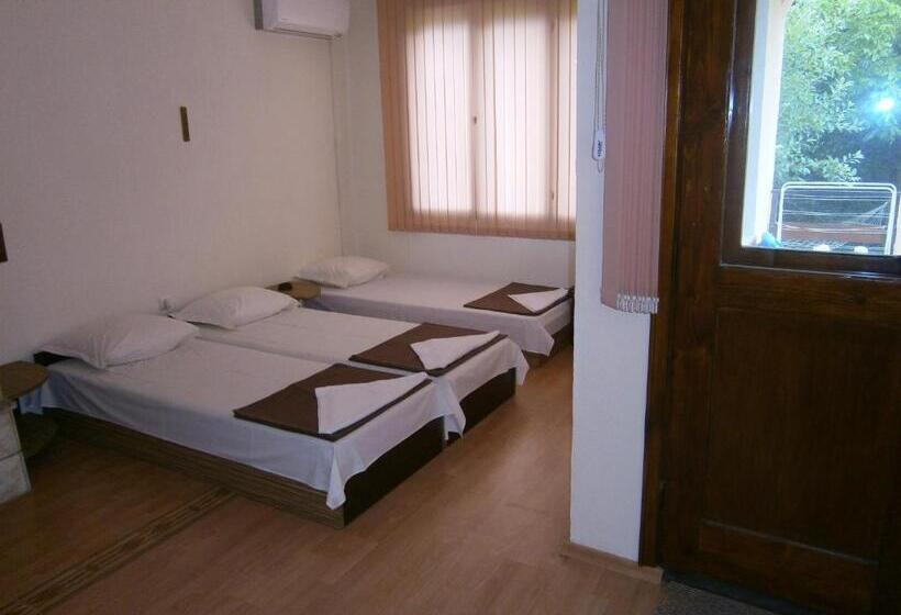 标准三人间, Guest House Hristovi