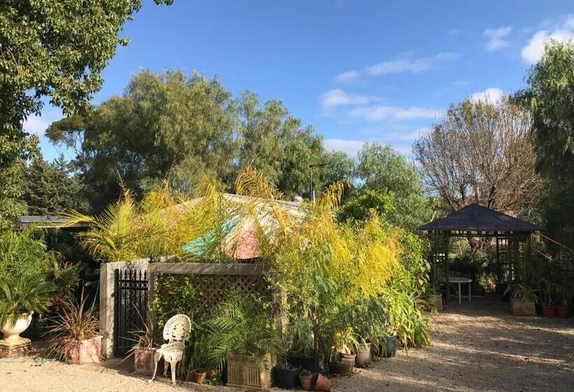 스탠다드 스튜디오, Orchard Garden
