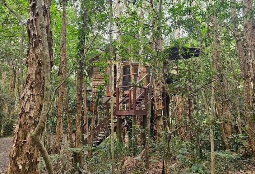 Студия Стандарт, Wanderers Retreat