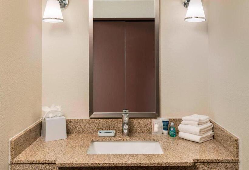 Номер Deluxe Кровать Кинг, Four Points By Sheraton Boston Logan Airport Revere
