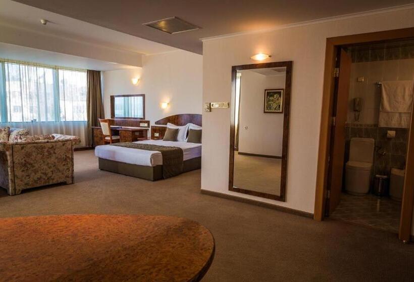 Номер Deluxe Кровать Кинг, Sevlievo Plaza