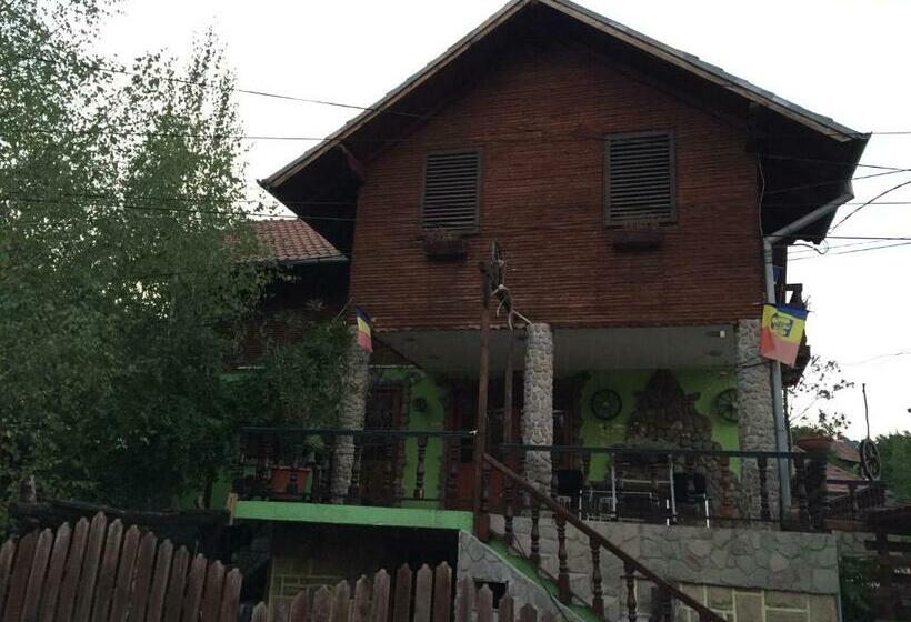 이코노미 룸, Casa Paltinu