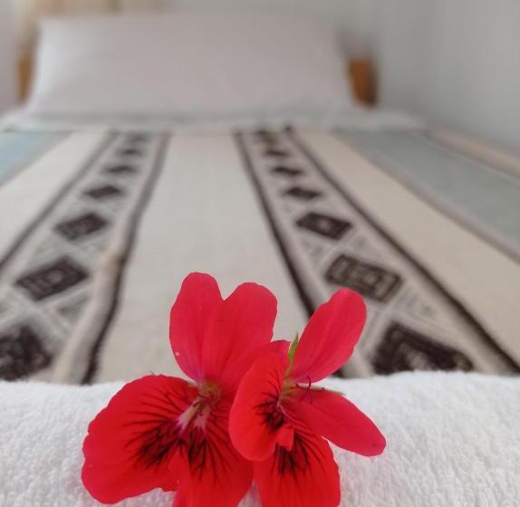 اتاق استاندارد یک تخته با سرویس بهداشتی مشترک, Hospedaje Y Restaurante Saywa