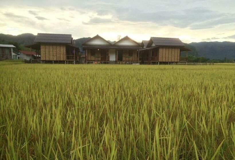 Семейное Бунгало, Thongdam Guesthouse