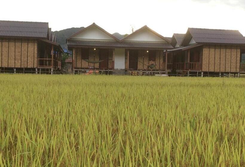 스탠다드 방갈로, Thongdam Guesthouse