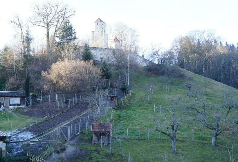 Номер Стандарт Трехместный, Landgasthof Falken