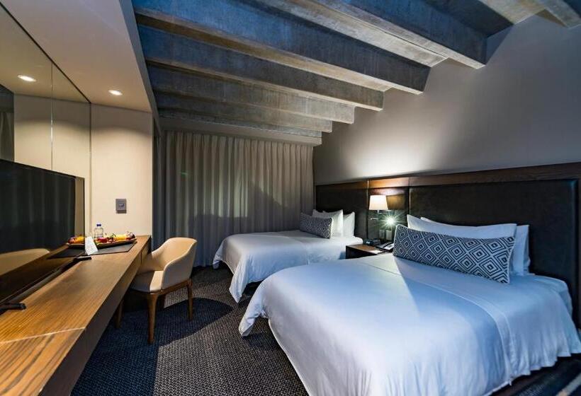 이코노미 룸, Movich Hotel Las Lomas