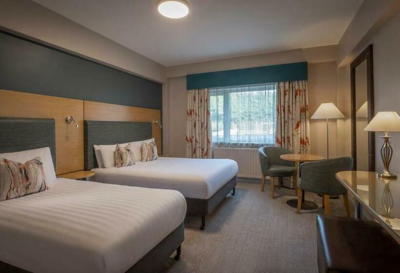 패밀리 룸, The Gleneagle Hotel & Apartments