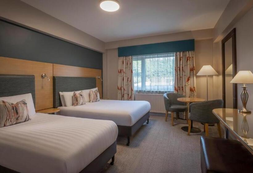 스탠다드 룸, The Gleneagle Hotel & Apartments