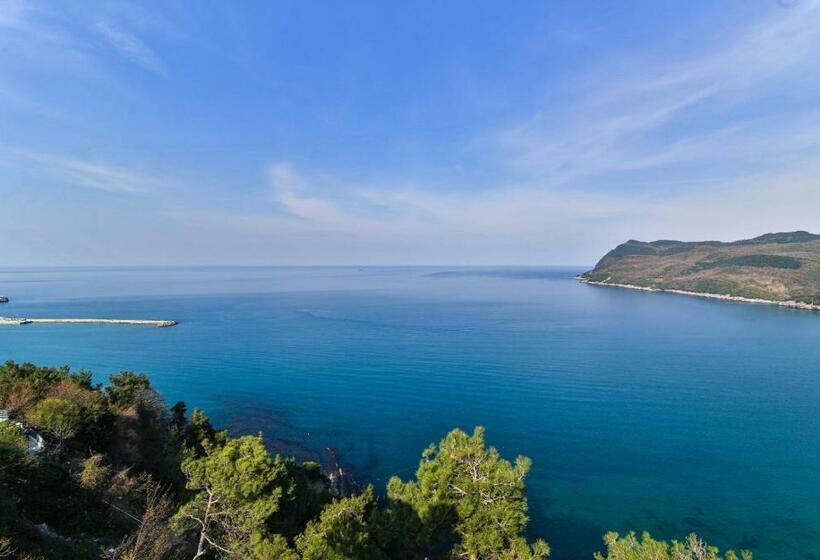 اتاق استاندارد با چشم‌انداز دریا, Amasra Sunrise Otel
