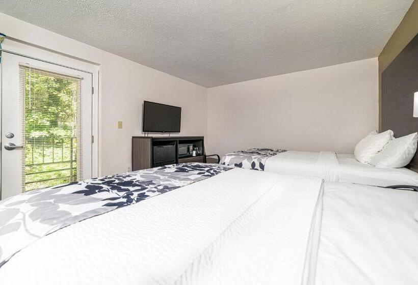 Standard-huone, Bear Creek Inn Gatlinburg, Tn