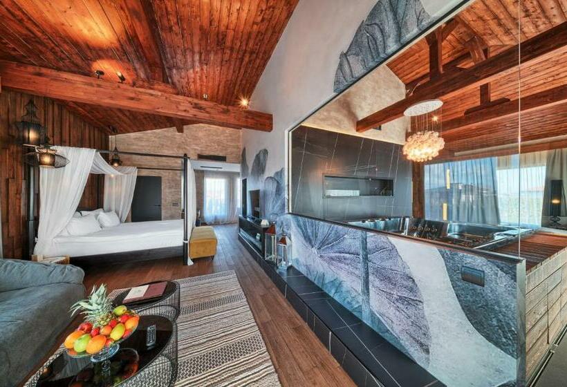 Вилла Deluxe 1 Спальня, Spa Complex Belchin Spring