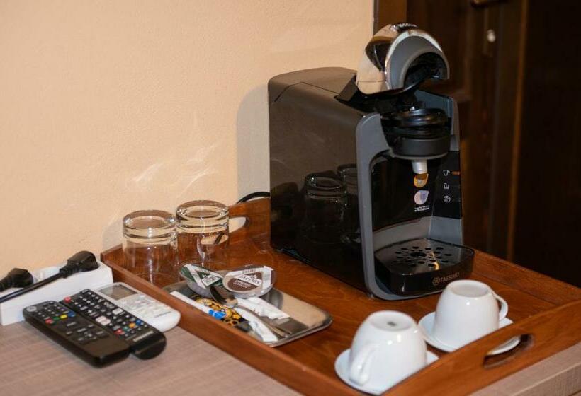 חדר סופריור עם מיטת קינג, Pensiunea Gabriel