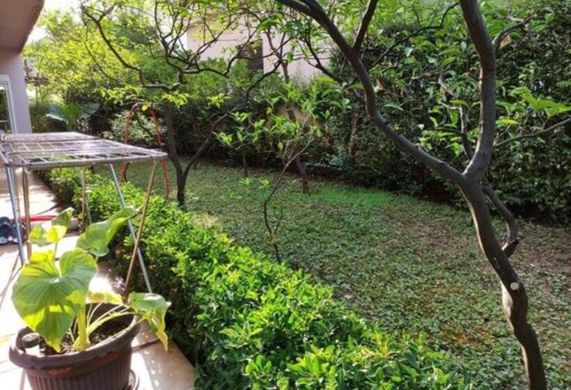 اتاق استاندارد سه نفره, Rooms Kuljic
