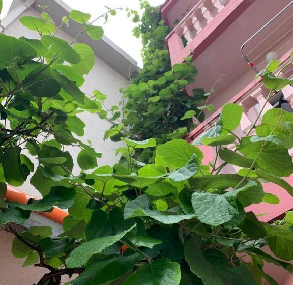 اتاق لوکس با بالکن, Rooms Kuljic