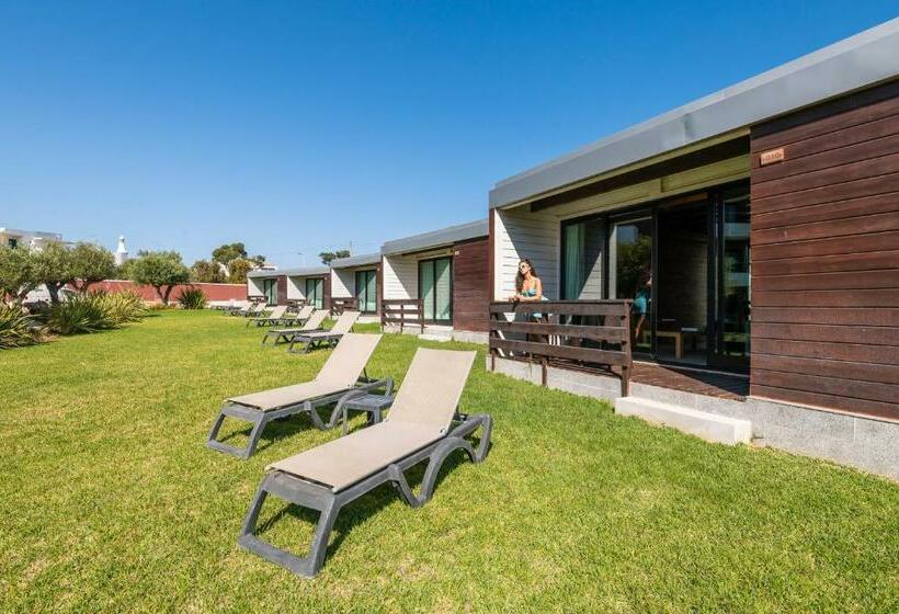 بانگلوی استاندارد, Topazio Vibe Beach Hotel & Apartments   Adults Friendly