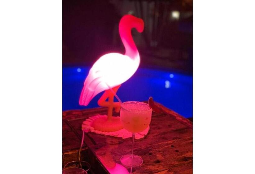 기본룸, Pousada Villa Caiobá