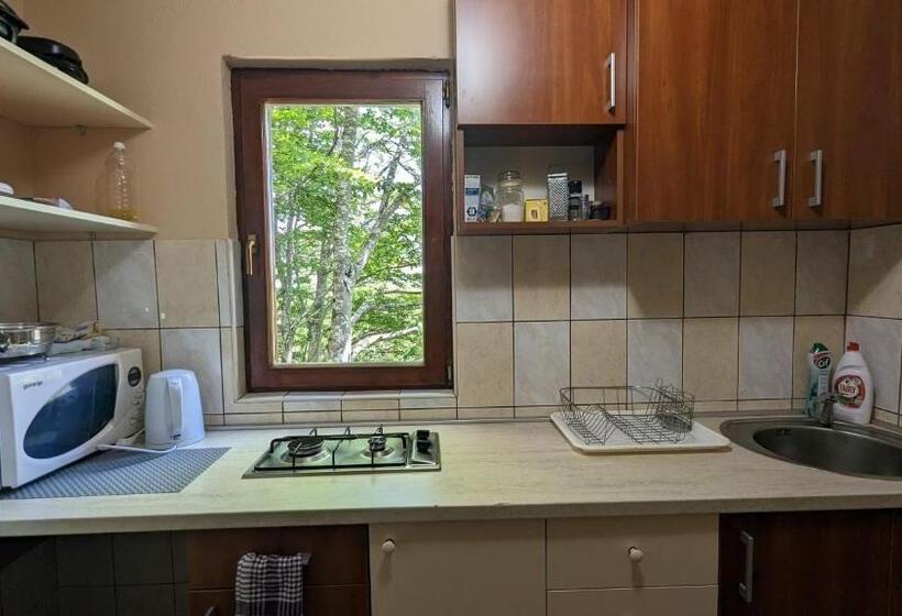 آپارتمان 1 خوابه, Apartments Nikcevic Zabljak