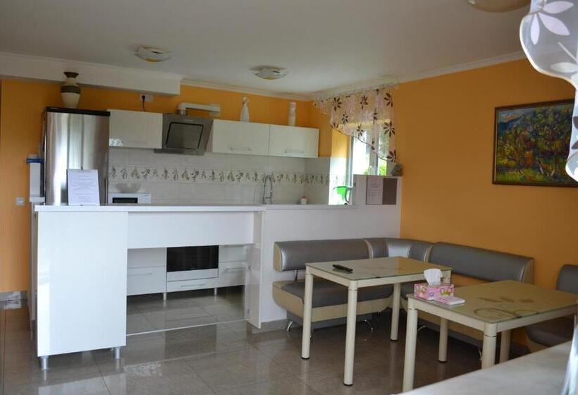 اتاق استاندارد با چشم‌انداز, Guest House At Lesya Ukrainka
