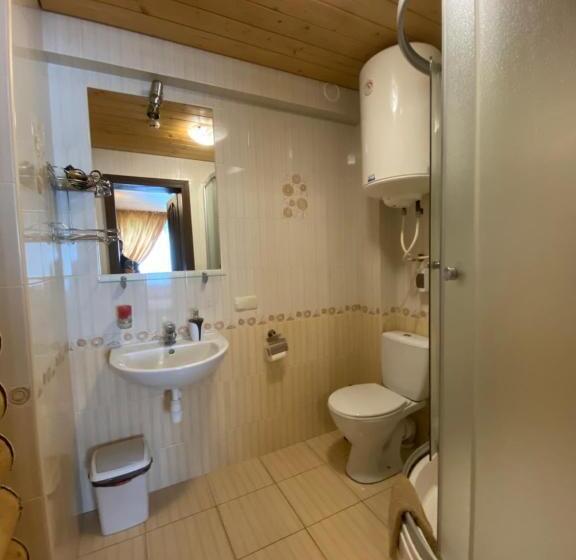 آپارتمان خانوادگی, Mini Hotel Zakrut