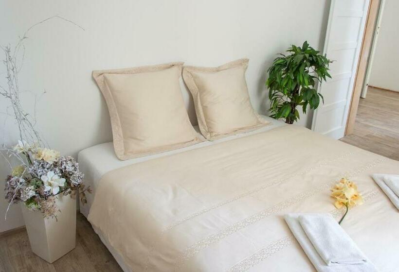 침실 1개 아파트, Penzion Apartmány Hradební