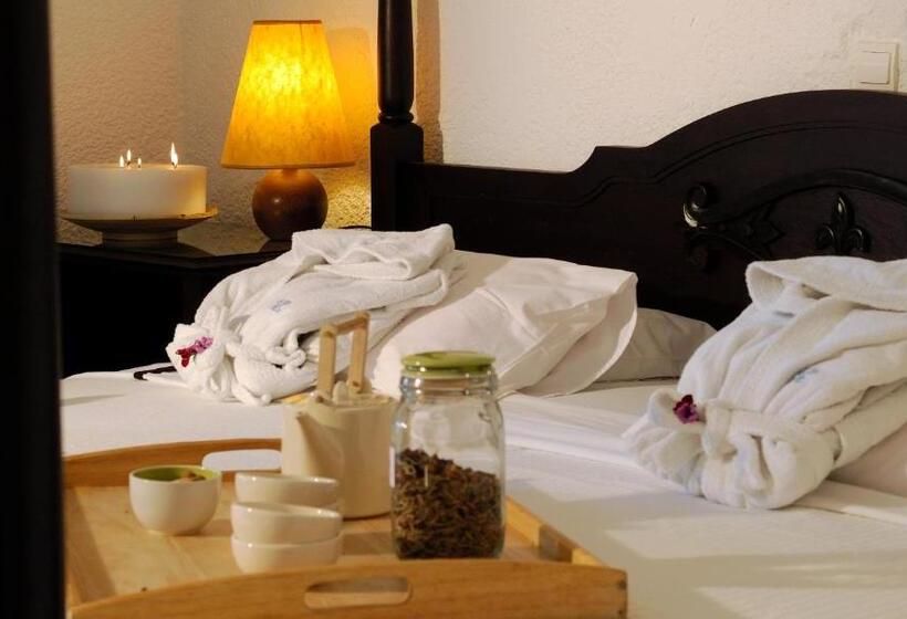 Номер Стандарт Индивидуальный, Agionissi Resort