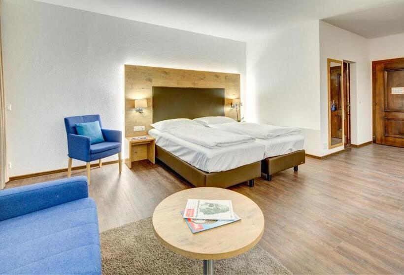 Номер Стандарт, Alpen Resort & Spa