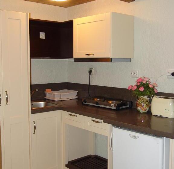آپارتمان 1 خوابه با چشم‌انداز دریا, Porto Sisi Hotel Apartments