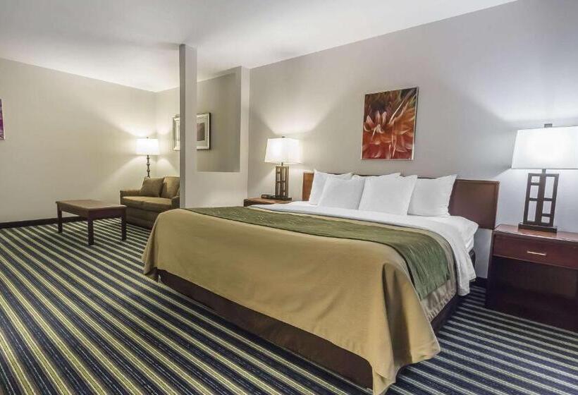 Люкс Кровать Кинг, Comfort Inn & Suites