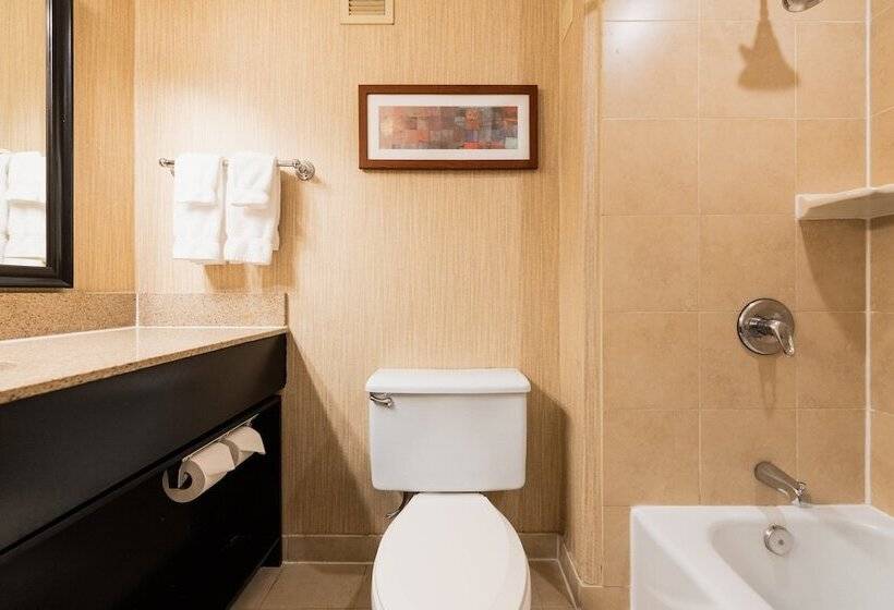 Номер Стандарт, Crowne Plaza Newark Airport, An Ihg