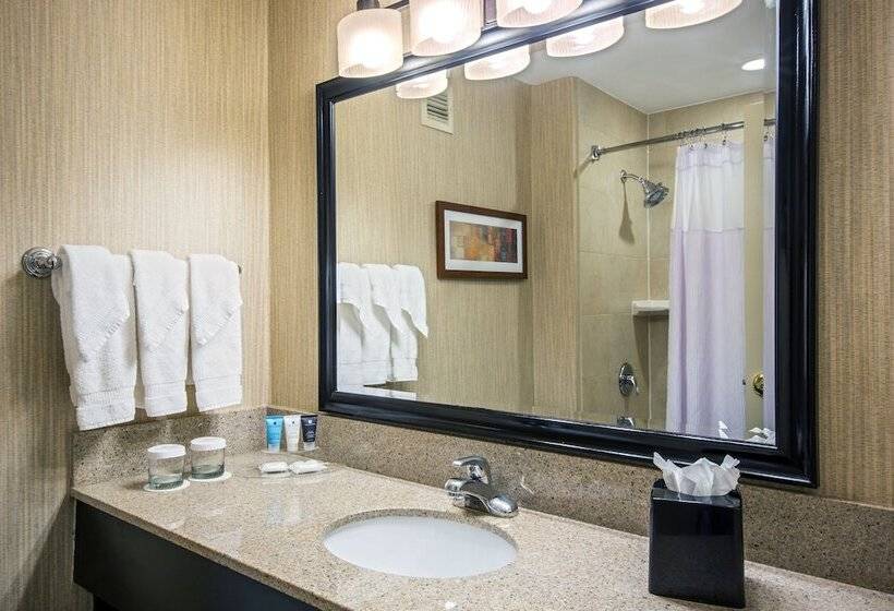 Номер Стандарт 2 Двуспальные Кровати, Crowne Plaza Newark Airport, An Ihg