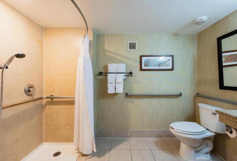 Номер Стандарт Кровать Кинг Адаптированный для Инвалидов, Crowne Plaza Newark Airport, An Ihg