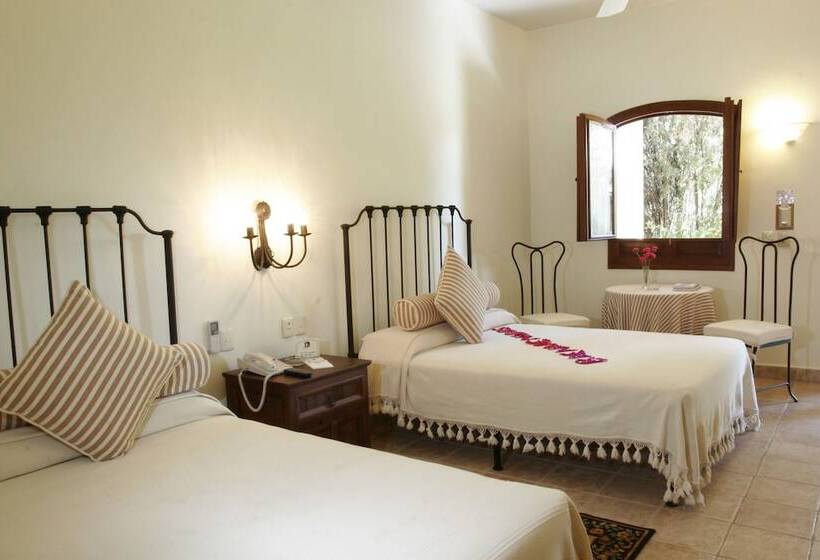 اتاق سوپریور, Hacienda Los Laureles