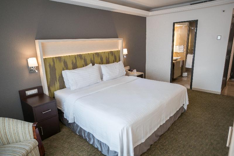 اتاق استاندارد با تخت بزرگ, Holiday Inn Queretaro Zona Diamante, An Ihg