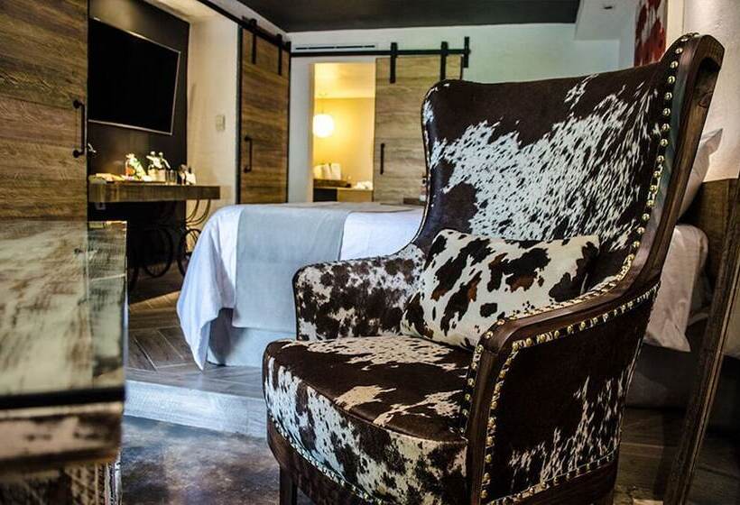 سوییت جونیور لوکس, Nehotel Nueva Estancia