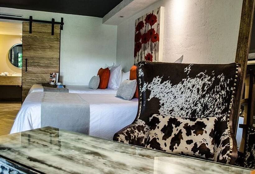 سوییت جونیور لوکس, Nehotel Nueva Estancia