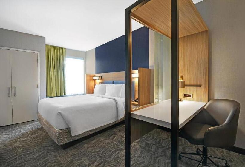 스위트 킹사이즈 침대, Springhill Suites By Marriott St. Paul Arden Hills